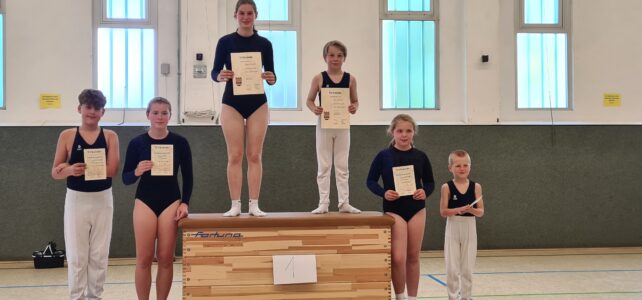 Stadtmeisterschaften Trampolinturnen Stadtmeisterschaften Trampolinturnen
